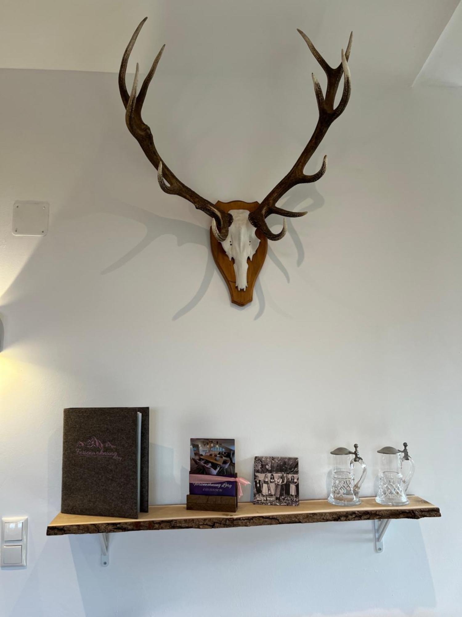 23 Neu Erbaute Ferienwohnung Mit Schloss- Und Panoramablick Halblech Esterno foto
